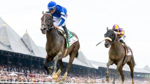 Sovereignty, 2025 Breeders' Cup Classic poll